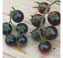 Tomate Cherry Azul