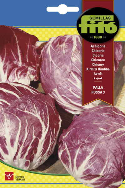 Semilla Achicoria Palla Rossa 3 (Roja de Chioggia )