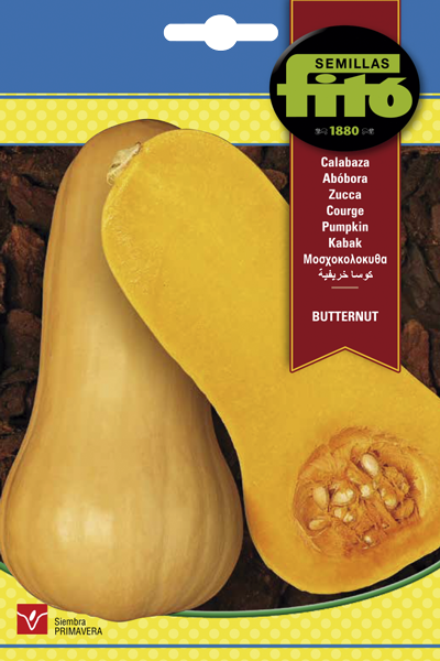 Semilla Calabaza Butternut (Waltham)