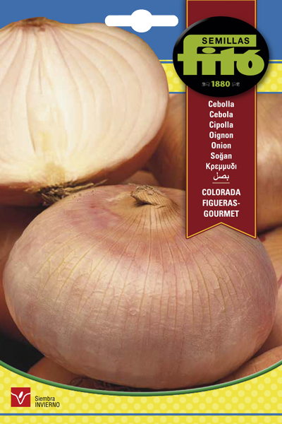 Semilla Cebolla Colorada Figueras - Gourmet