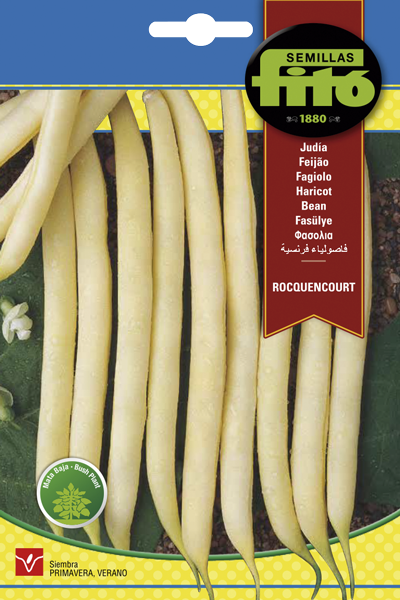 Semilla Judía Rocquencourt