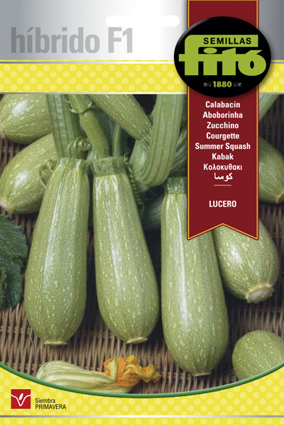 Semilla Calabacín Prolific Híbrido F1
