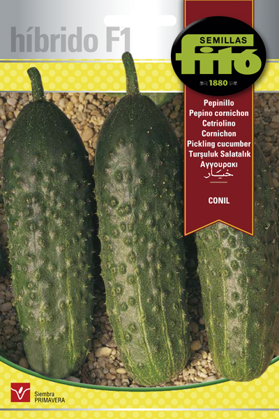 Semilla Pepinillo Conil Híbrido F1