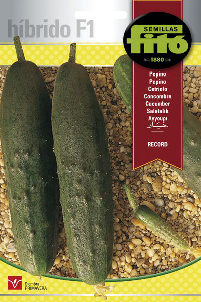 Semilla Pepino Record Híbrido F1