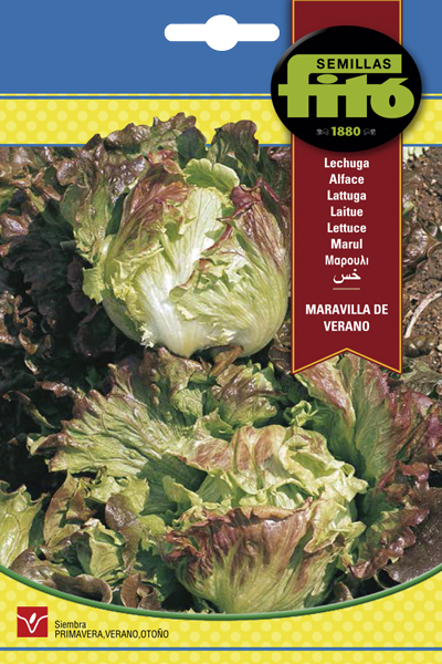 Semilla Lechuga Maravilla de Verano