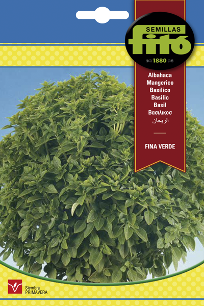 Semilla Albahaca Fina Verde