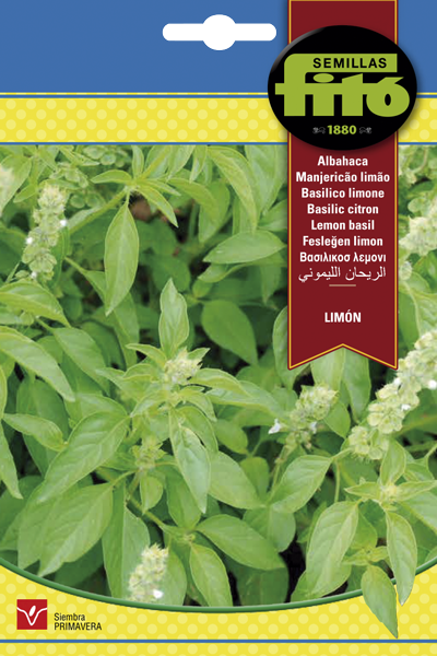 Albahaca Limón