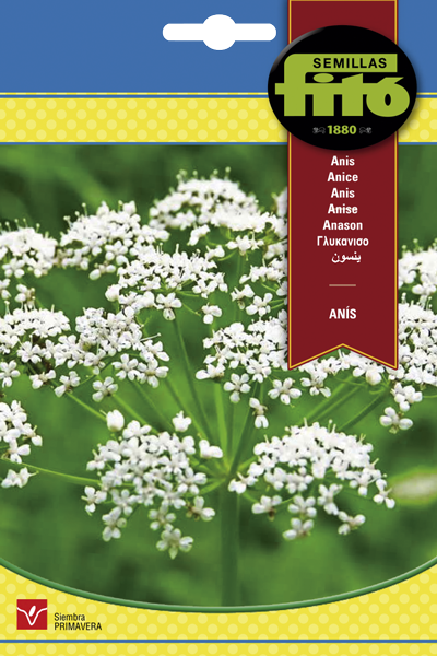 Anís