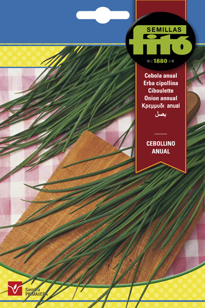 Cebollino Anual