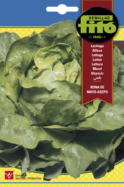 Semilla Lechuga Reina de Mayo - Asepo
