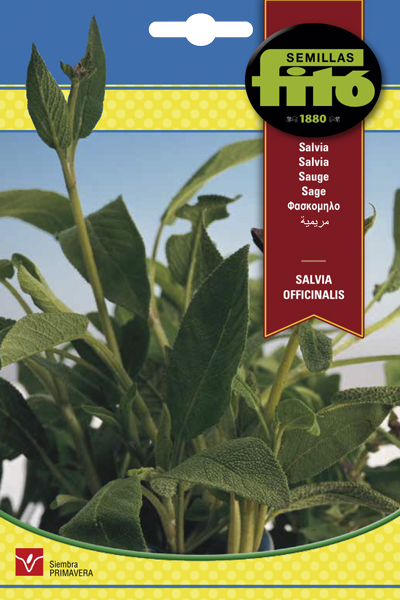 Salvia Officinalis