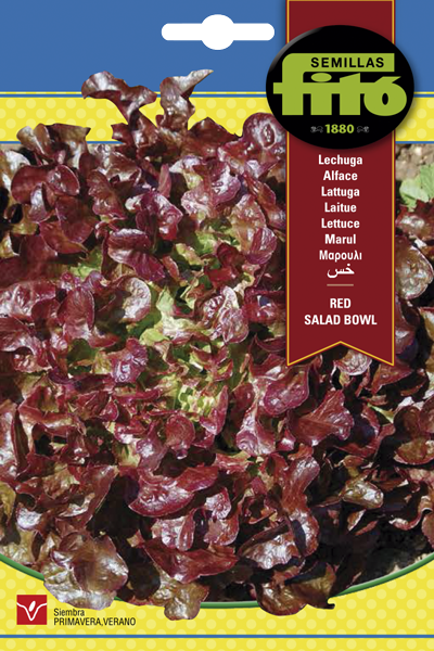 Semilla Lechuga Red Salad Bowl