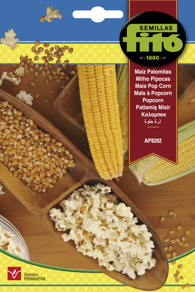 Semilla Maíz Palomitas
