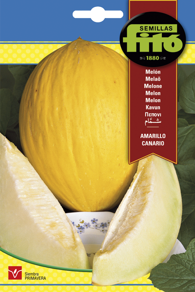 Semilla Melón Amarillo - Canario