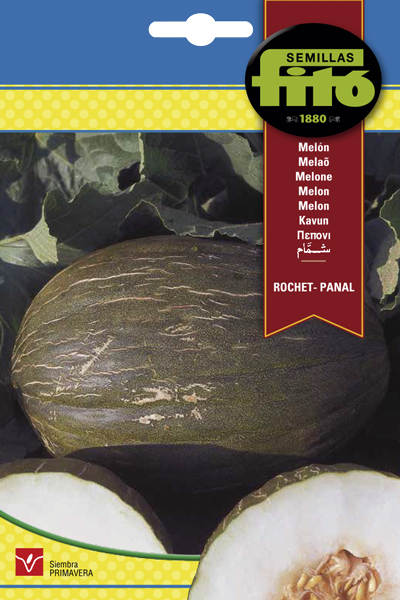 Semilla Meón Rochet - Panal