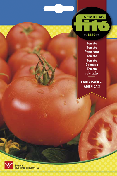 Semilla Tomate Early Pack 7 - America 3