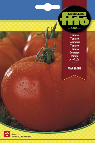 Semilla Tomate Marglobe