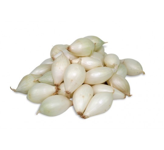 Cebolla Blanca Microbulbos 120 unidades