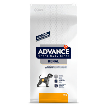 ADVANCE Adult Renal