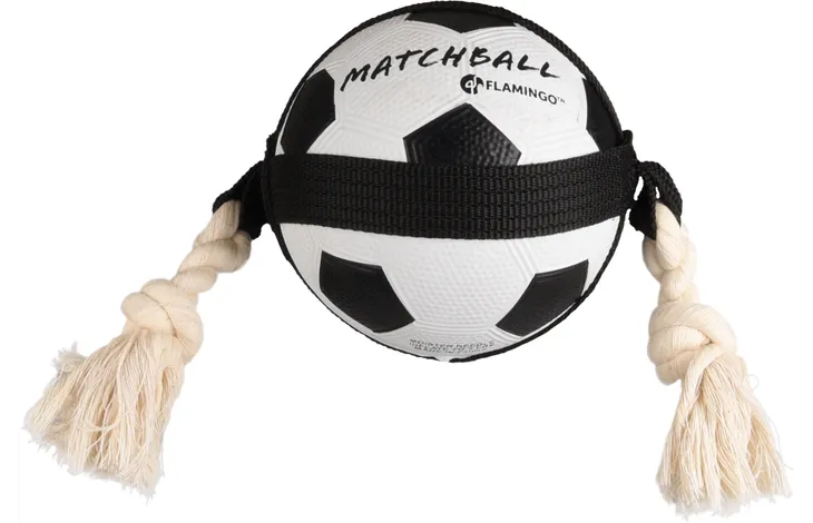 Mordedor Pelota Futbol Matchball 12,5cm