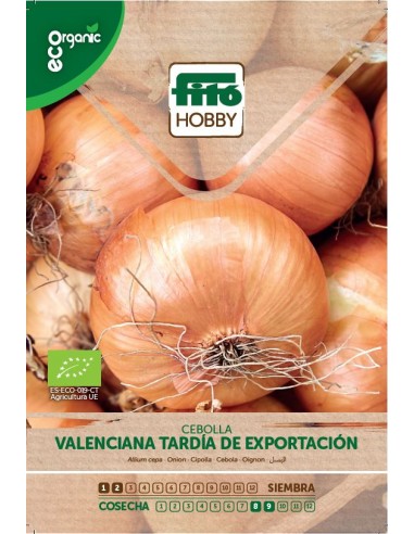 Semilla Cebolla Valenciana Tardía de exportación Eco