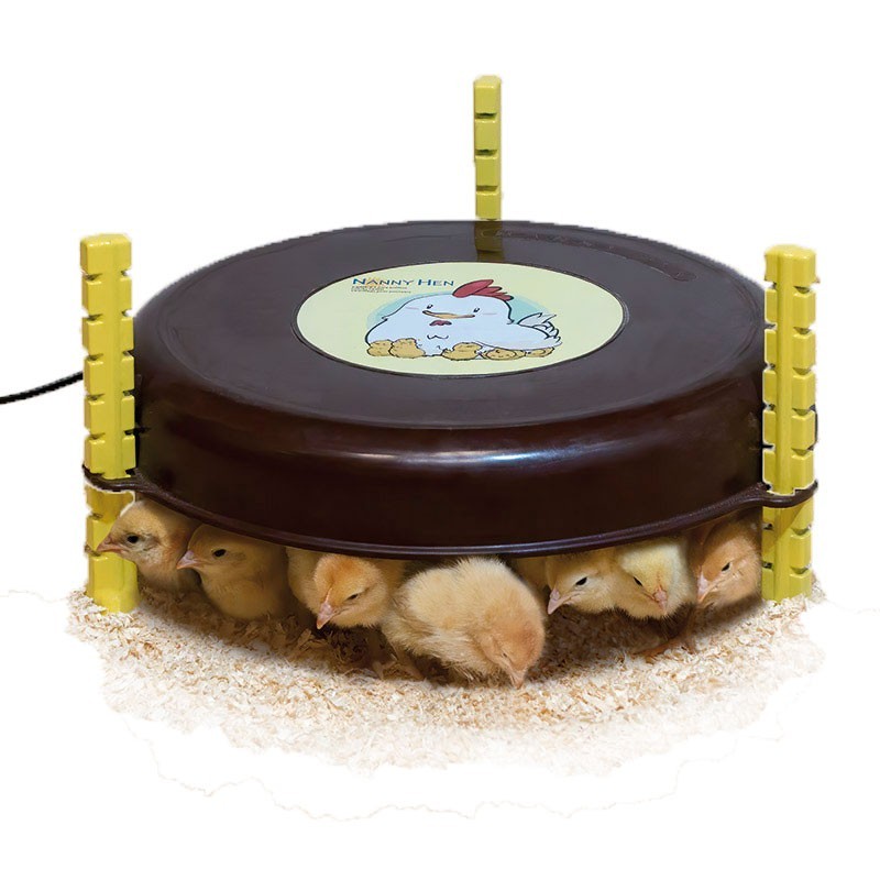 Calefactor pollitos Nanny Hen