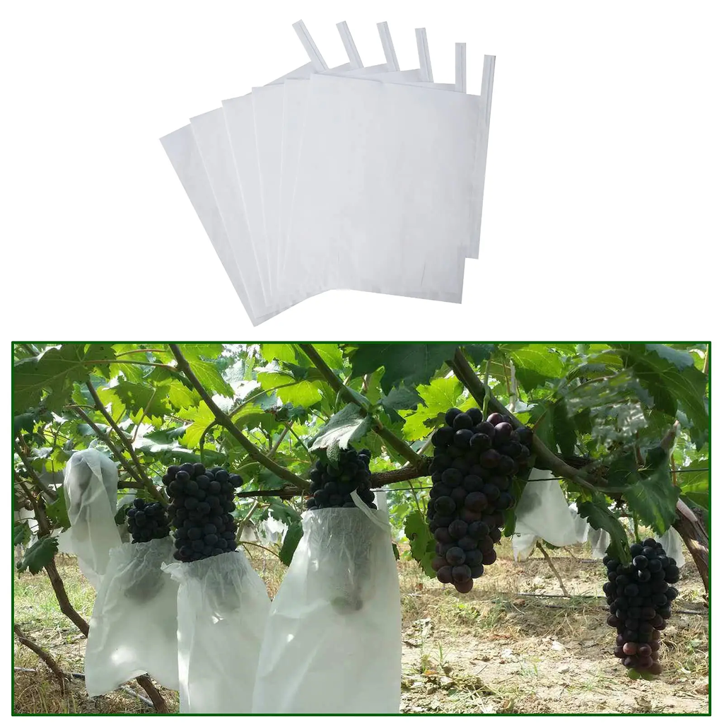 Bolsa papel para proteccion Uvas