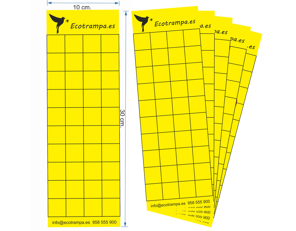 Trampa cromatica ecológica para pulgon y mosca blanca