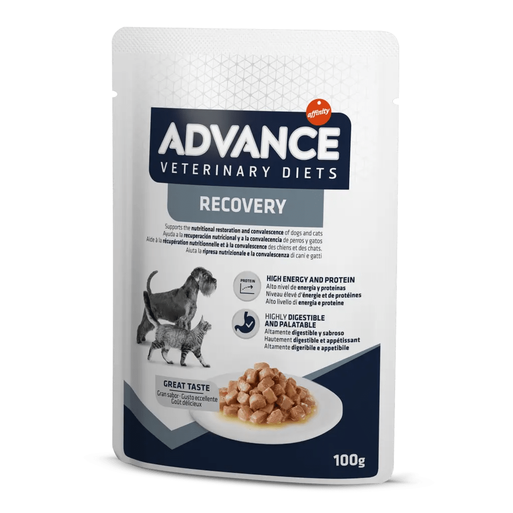 Sobre Humedo Advance Gato/Perro Recovery 100gr