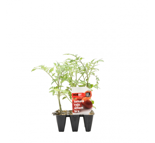 Tomate Rojo Alhambra