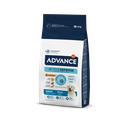 ADVANCE Maxi Adult Pollo y arroz