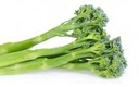 Brocoli Tierno